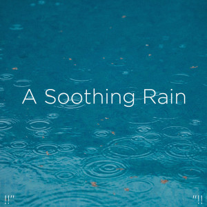 Dengarkan Calm Anxiety Sounds lagu dari Rain Sounds dengan lirik