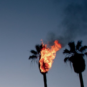 Listen to Burbank song with lyrics from The Absolute