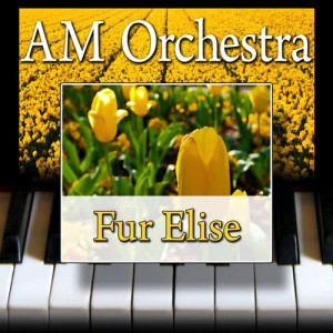 收聽AM Orchestra的Fur Elise歌詞歌曲