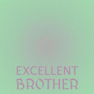 Album Excellent Brother from Various