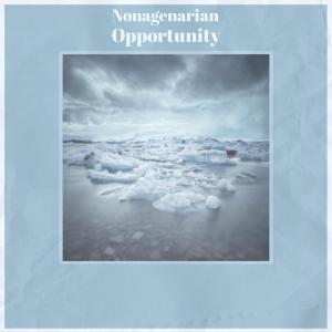 Album Nonagenarian Opportunity from 