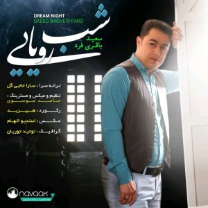 Listen to Dream Night (Shabe Royaei) song with lyrics from Saeed Bagheri Fard