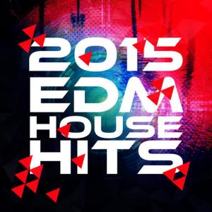 收聽EDM House Hits的Sonic歌詞歌曲