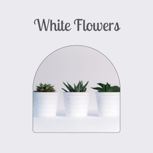 White Flowers dari Various