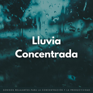 Album Lluvia Concentrada: Sonidos Relajantes Para La Concentración Y La Productividad from Concentración de ondas alfa