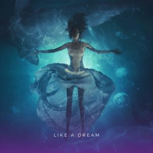 ดาวน์โหลดและฟังเพลง Like A Dream พร้อมเนื้อเพลงจาก Chillstepped