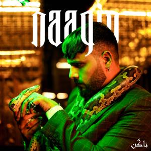 收聽Taha G的Naagin歌詞歌曲