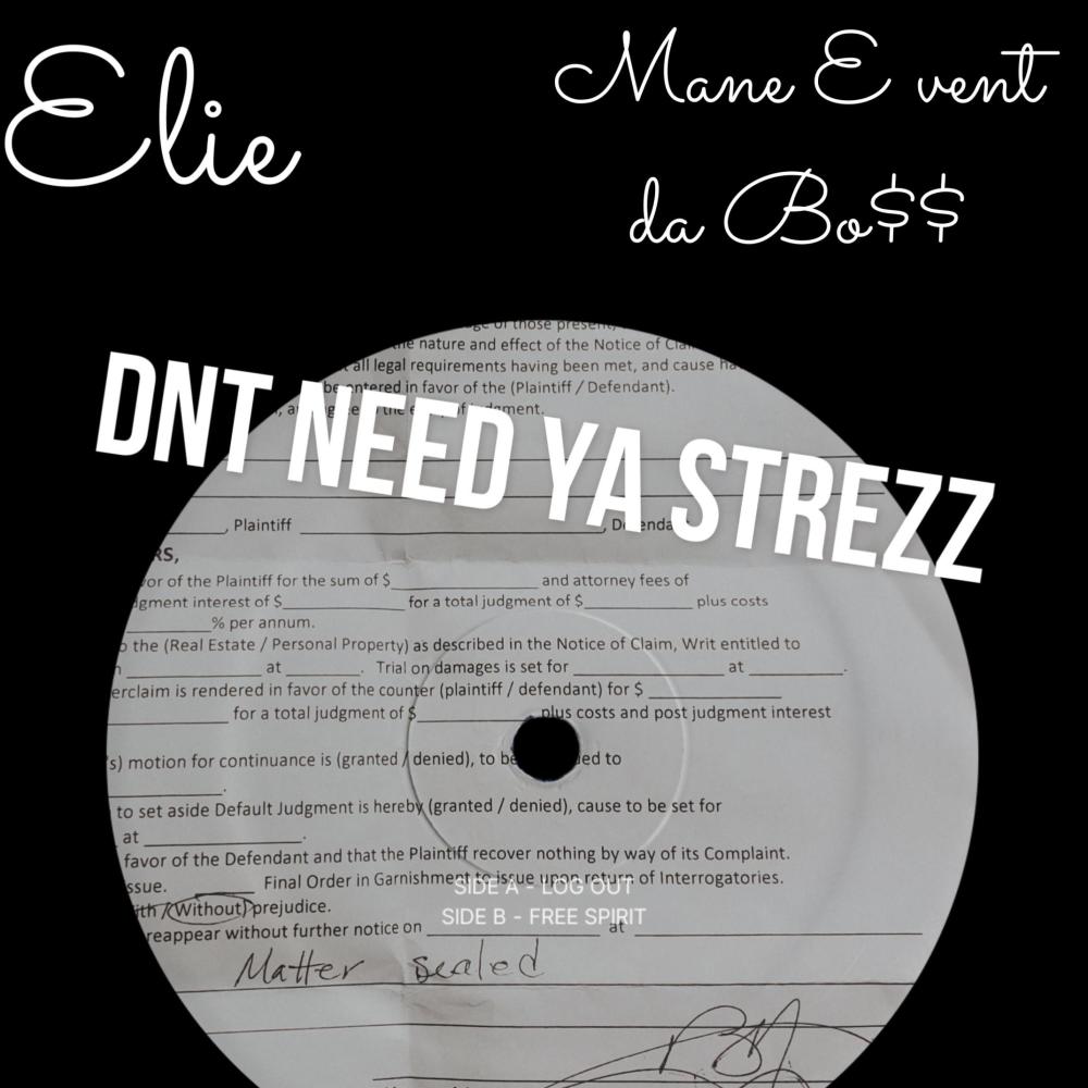 Don't Need Ya Strezz (feat. Elie) (Explicit)