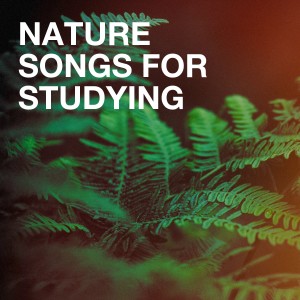 Listen to Nocturne Op. 9: No 2 song with lyrics from Olga Bordas
