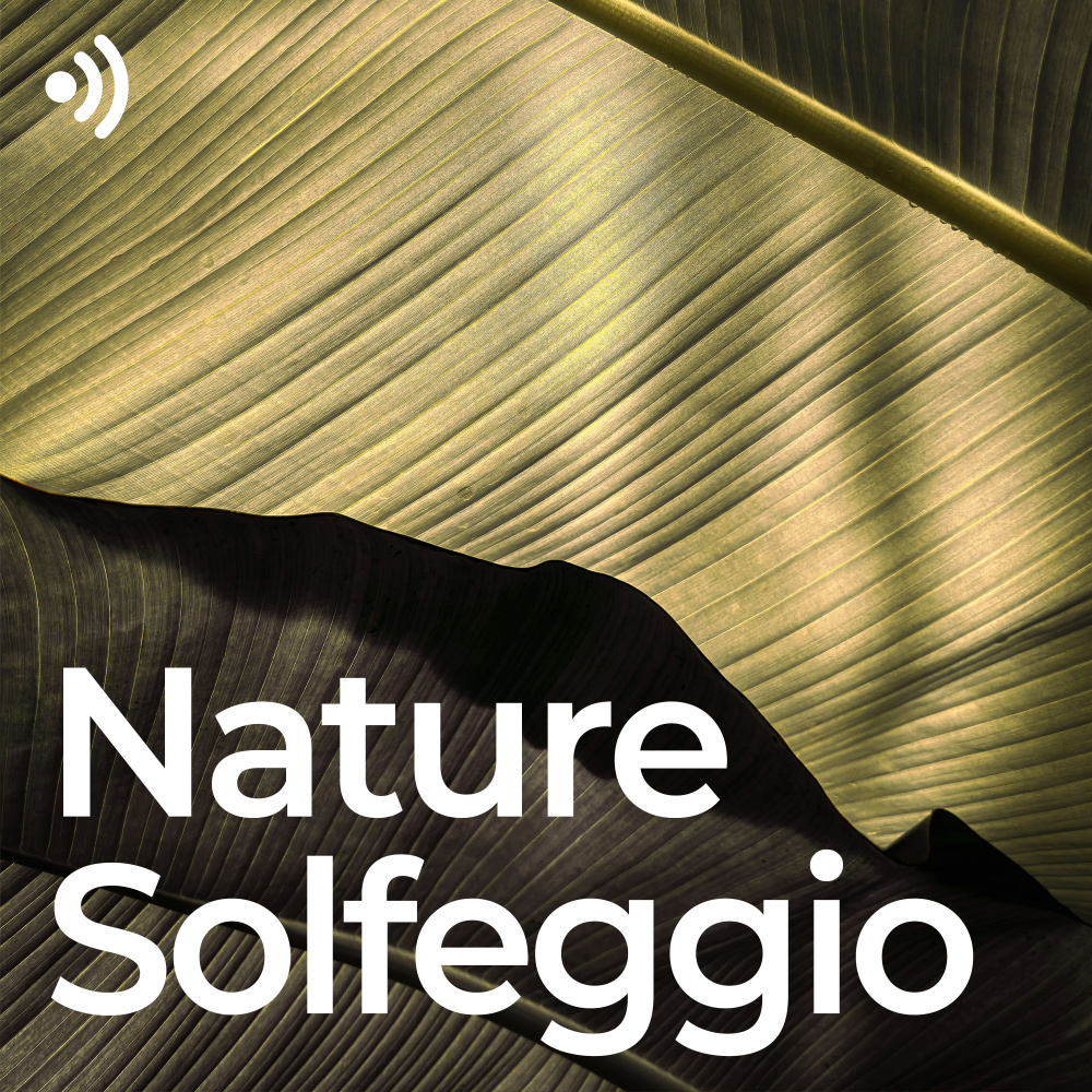 Nature Solfeggio Frequencies for Healing (No Fade, Loopable)
