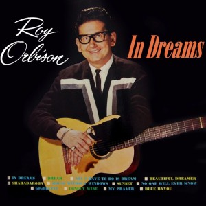 收聽Roy Orbison的In Dreams歌詞歌曲