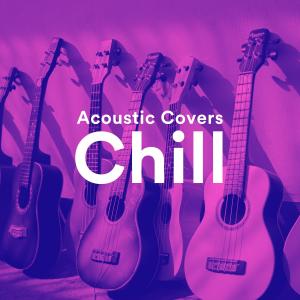 Album Acoustic Covers Chill from Various Artists