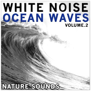 ดาวน์โหลดและฟังเพลง Waves: Healing Sea พร้อมเนื้อเพลงจาก Massage Music