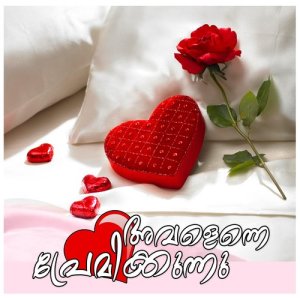 收聽Madonna的Vachalamayi (其他)歌詞歌曲