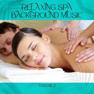 อัลบัม Relaxing Spa Background Music, Vol. 2 ศิลปิน Day Spa Background Music