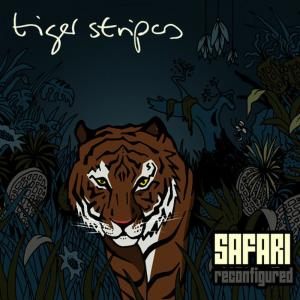 ดาวน์โหลดและฟังเพลง Spirited Away (Angel Alanis Dub Mix) พร้อมเนื้อเพลงจาก Tiger Stripes