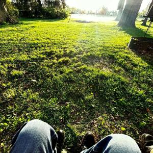 paullyjay的專輯Backyard Antics