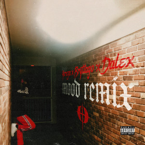 Yeruza的專輯Mood (Remix) [Explicit]