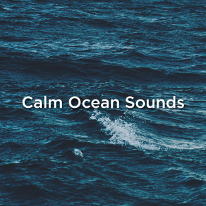 Listen to Ocean Sounds For Deep Sleep song with lyrics from Ocean Sounds