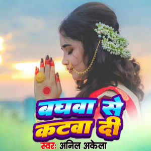 Album Baghawa Se Katawa Di from Anil Akela