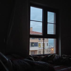 收聽alparslan的Bitecek artık (Explicit)歌詞歌曲