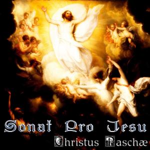 Listen to Christ The Lord Is Risen Today song with lyrics from Sonat Pro Jesu