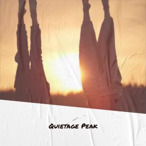 Various的专辑Quietage Peak