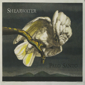 Album Palo Santo from Shearwater