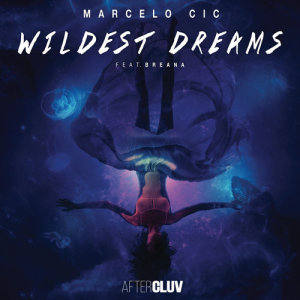 收聽CIC的Wildest Dreams (Radio Edit)歌詞歌曲