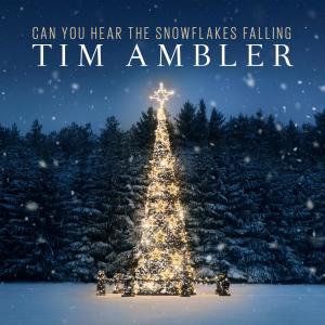 Listen to Can You Hear The Snowflakes Falling song with lyrics from Tim Ambler