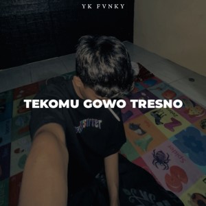 Album TEKOMU GOWO TRESNO MENGKANE oleh YK FVNKY