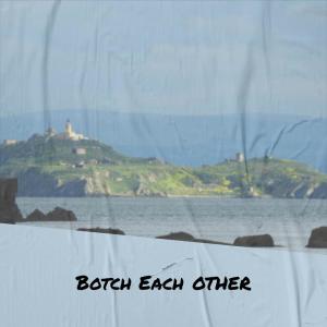 Album Botch Each other from Various