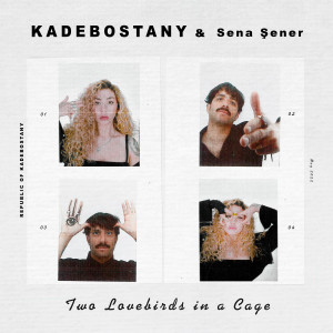 Album Two Lovebirds in a Cage from Kadebostany