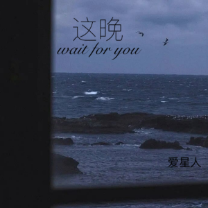 Album 这晚wait for you from 爱星人