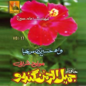 Album Wah Hussain Marhaba, Vol. 17 from 
