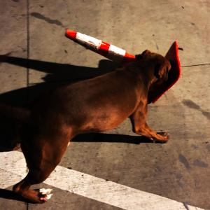 ดาวน์โหลดและฟังเพลง Time Without(feat. Lilith Is Gone) พร้อมเนื้อเพลงจาก CATSLASH