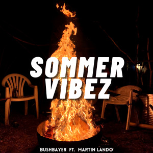 Listen to SOMMER VIBEZ song with lyrics from Bushbayer