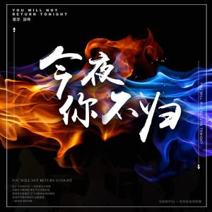 ดาวน์โหลดและฟังเพลง 今夜你不歸 (伴奏) พร้อมเนื้อเพลงจาก 邵伟