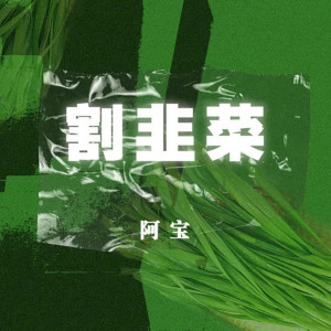 收聽阿寶的割韭菜 (伴奏)歌詞歌曲