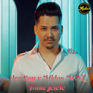 Alex Egy的专辑Toate fetele