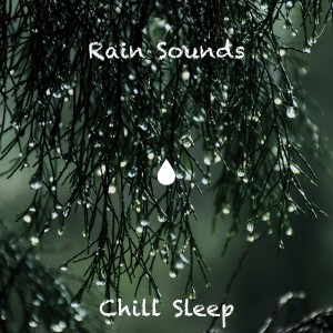 收听Chill Sleep的Martha's Vineyard Relaxing Rain歌词歌曲