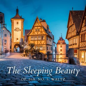 The Sleeping Beauty, Op. 66a: No. 5, Waltz