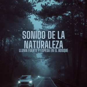 La Lluvia Suena Expertos en Naturaleza的专辑Sonido De La Naturaleza: Lluvia Fuerte Y Espesa En El Bosque