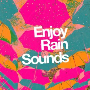 Natural Rain Sounds的專輯Enjoy Rain Sound