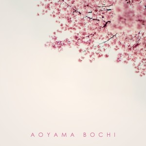 Dengarkan lagu Aoyama Bochi nyanyian Saeko Seki dengan lirik
