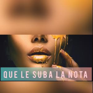 อัลบัม Que Le Suba La Nota (feat. joggie) (Explicit) ศิลปิน El Designer