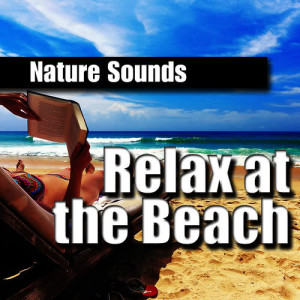 收聽Nature Sounds的Relaxing Beach Side Ocean Ambience for Stress Release歌詞歌曲