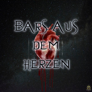 Listen to Bars Aus Dem Herzen song with lyrics from NOVA SATUS