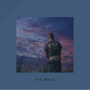 Album Too Much (Explicit) from Smallz