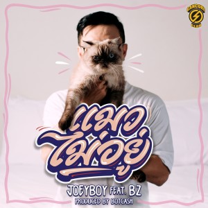 ดาวน์โหลดและฟังเพลง แมวไม่อยู่ Feat. BZ พร้อมเนื้อเพลงจาก Joey Boy
